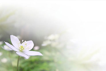 企業(yè)網(wǎng)站建設(shè)設(shè)計(jì)制作過(guò)程