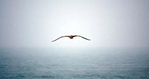 廣州營銷型網站有哪些特點呢？