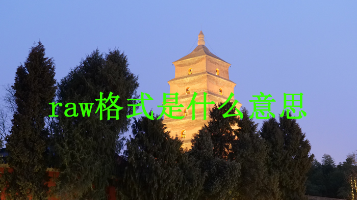 網頁設計raw格式圖片能用嗎?raw是什么格式?