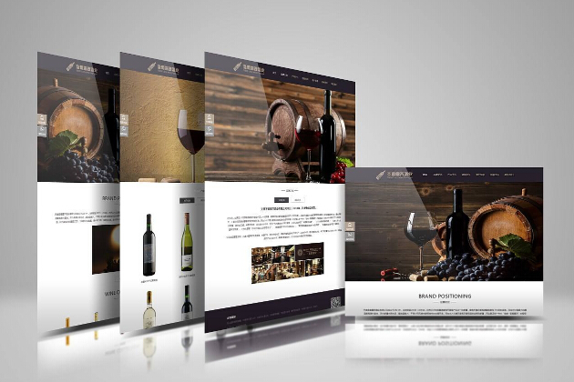 專(zhuān)業(yè)建站公司